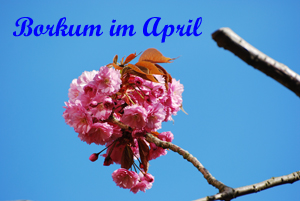 Borkum-im-April